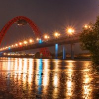 Живописный мост. Москва :: Inna L