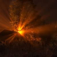 фонари, туман, деревня 2 :: Виталий Исаев