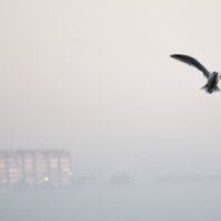 вылет из тумана :: Олеся Морозова