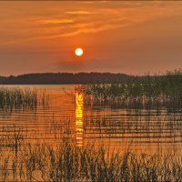 закат на Чудском озере :: Petr Popov