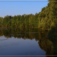 лесное озеро :: serg Fedorov