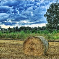 Церковь.Дерево.Копна. :: Андрей Куприянов