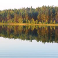 лесное отражение в озере :: Анютка А