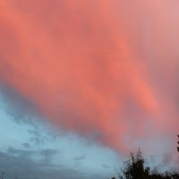 небо перед дождем :: Лариса Корженевская