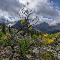 Осень не за горами. :: Ник Васильев