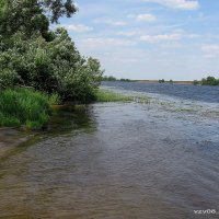 На  плесе ...Акварель :: Игорь Пляскин