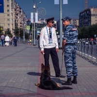 Все спокойно. Чемпионат мира по дзюдо. Парк Дзюдо. :: Марк Э