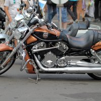 Дни Harley Davidson в Санк-Петербурге 2014 :: Sasha Bobkov