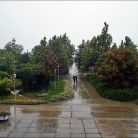 Летний дождик :: Нина Корешкова