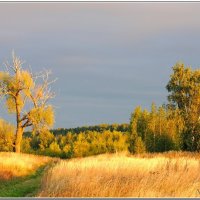 Тропинка в осень :: Николай Дементьев 