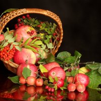 Румяные яблочки :: Татьяна Беляева