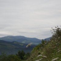 Пиренейский хребет :: Алексей Смирнов