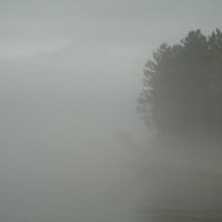 в тумане :: Юлия Sun