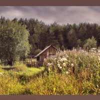 Банька :: Наталья Гжельская