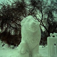 Снежный лев :: busik69 