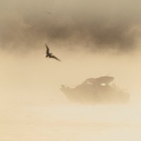 ежик в тумане :: Валерий 