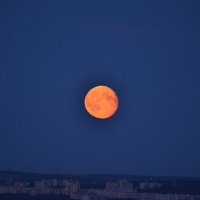 Луна :: Максим Доленко