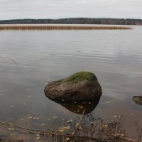 Озеро,плавни,осень :: Наталья Золотых-Сибирская