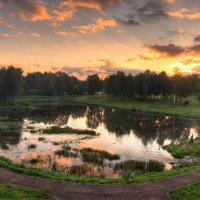 Псковский дендропарк :: Роман Дмитриев