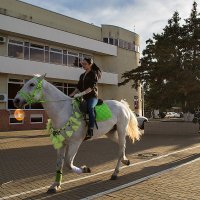 Наездница :: Евгений 