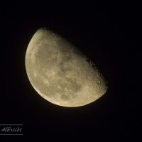 Мне подмигнула Луна :: Елизавета Альбрехт