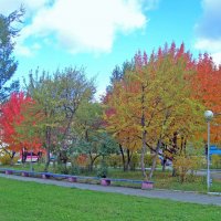 Разноцветная осень :: alemigun 