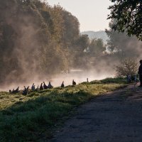 пастух :: Наталья Манусова