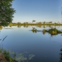 Утро на озере :: Эдуард Пиолий