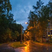 Осень. Вечерний Академгородок. Nokia Lumia 1020 :: Vadim Piottukh 