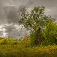 Осенний пейзаж :: Сергей Винтовкин