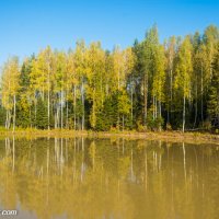 Желтое озеро :: Валерий Смирнов