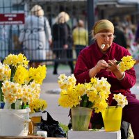 Весенние настроение. :: Valeria 