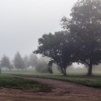 Дорожка в тумане :: Valerii Ivanov