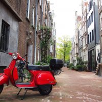 Амстердам :: Машенька _________