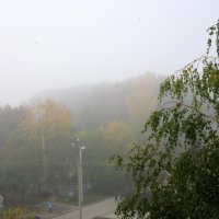 Туман. :: Мила Бовкун