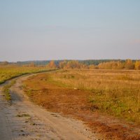 Эх дороги... Пыль да ту-уман... :: Анджелла 