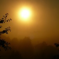 Солнце в тумане. :: Анатолий Борисов