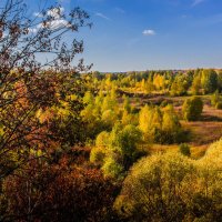 Осенний пейзаж :: Владимир Буравкин