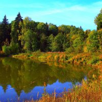Осенний пруд :: Тамара 