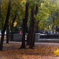 листья желтые над городом.... :: Надежда Попова