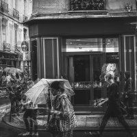 Иногда в Париже бывают дожди.. :: Катерина ivi