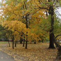 Осень в городе :: Наталья Александрова