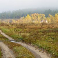 Осень... :: Татьяна Койнова