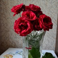 Розы вьющиеся... :: Raisa Ivanova