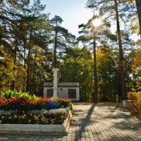 В городском осеннем парке. :: Виктор Евстратов