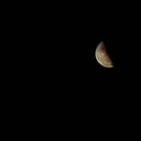 Луна :: Евгения Воронина