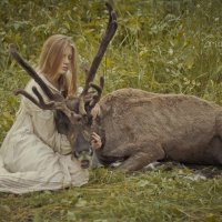 Forest dwellers :: Евгения Касьяненко