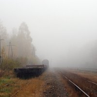 Осенний туман :: Юрий Савинский
