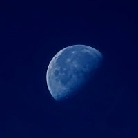 Голубая луна :: Ольга Голубева