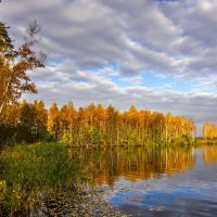 autumn morning :: Dmitry Ozersky